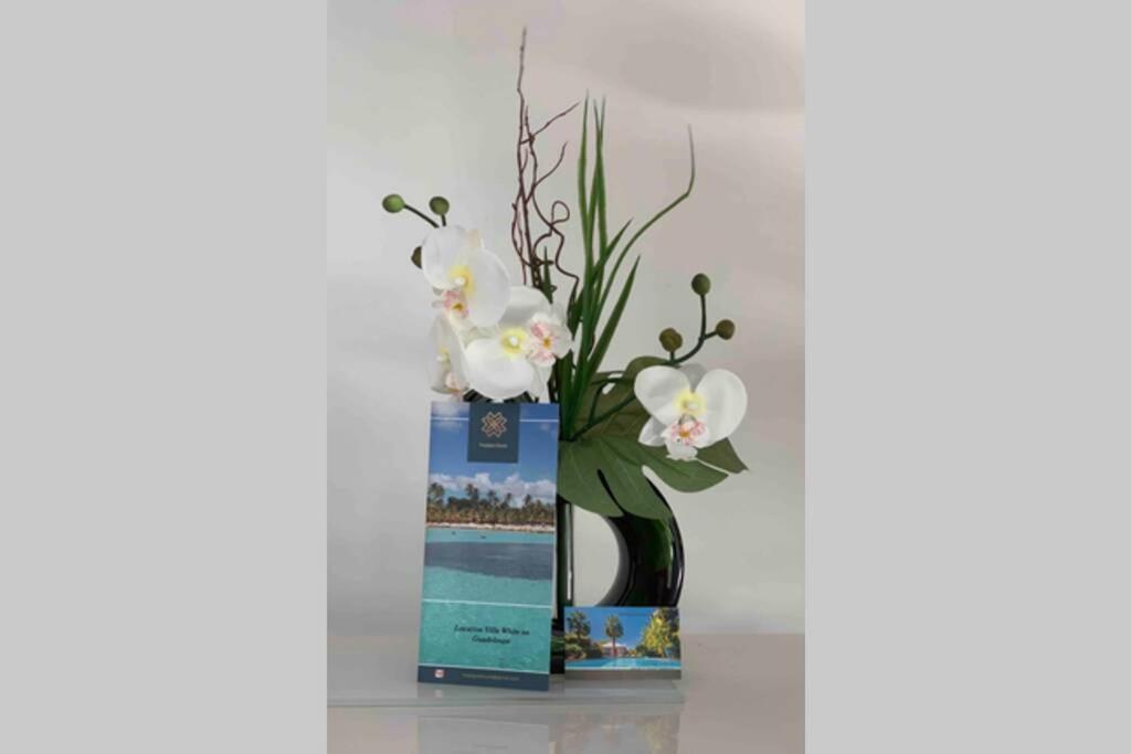 Villa White Piscine A Debordement 圣弗朗索瓦 外观 照片